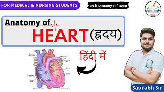 Heart  Valves  Chambers  Cardiovascular system Hindi  For NEET Medical Nursing Students [upl. by Alleiram]