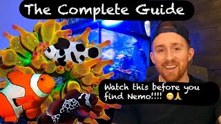 How to Care for a Clownfish Everything You NEED to Know 🐠 [upl. by Callum]