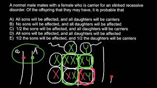 How to solve Xlinked genetics problems [upl. by Carnahan]