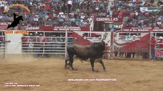 ¡12 TORAZOS NACIDOS EN RANCHO REYES MALBORO MONUMENTAL DE MORELIA 2016 [upl. by Attennaej468]