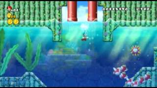 New Super Mario Bros Wii  Star Coin Location Guide  World 14  WikiGameGuides [upl. by Morena621]