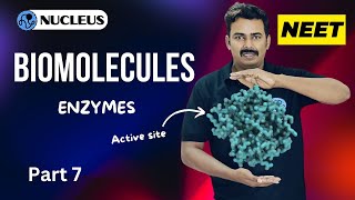 Enzymes II Biomolecules II Nucleus neet Academy [upl. by Erasmo108]