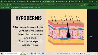 BIO100 Lecture 4 Integumentary System [upl. by Welch]