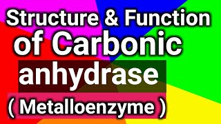 structure amp function of Carbonic anhydrase Metalloenzyme [upl. by Yentruoc]