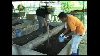 Demo on Vermicomposting amp Vermiculture courtesy of Dr Ed Lalas DAQAES [upl. by Seek]