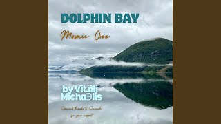 Dolphin Bay Mosaic One [upl. by Ahsekan521]