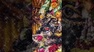 jaishreeshyam  jaishreekrishna  vrindawan  viralshorts  bankebihari  dwarikadhish [upl. by Breger]