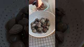 How to easily clean your clams out of any sand or grit [upl. by Anileve]