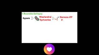 Cell Injury Pathology  Reversible and Irreversible Cell Injury  Part 1 mbbs doctor anatomy [upl. by Mcevoy]