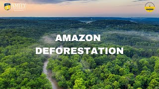 Increasing deforestation rate in the Amazon Rainforest  Bulletin 045 [upl. by Annaid6]