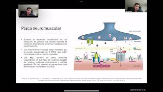 Motilidad Ocular y las Vías Neuronales Relacionadas [upl. by Dranoel]