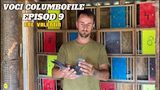 Voci Columbofile  Episod 9  Ene Valentin  Buzau  Vintileanca [upl. by Mutat]