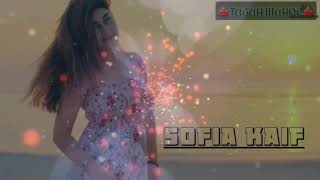 Pa Mina Mina Sofia Kaif New Song 2019 [upl. by Bottali976]