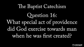 Baptist Catechism Question 16 What Special Act of Providence did God Exercise towards Man [upl. by Tymon452]