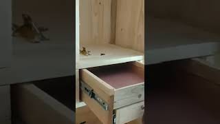 Wooden cupboard safety locker [upl. by Irolam]