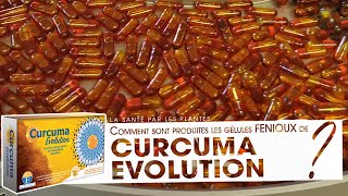 Curcuma Evolution  La production par FENIOUX [upl. by Husein]