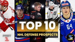 Top 10 Defense Prospects in The NHL  Part 1 [upl. by Packer]