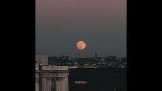 Shareh  talking to the moon  Prod by umairmusicxx​⁠ [upl. by Inig621]