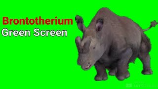 Brontotherium Green Screen [upl. by Lettie179]