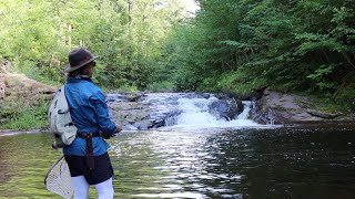 FLY FISHING PORCUPINE MOUNTAINS  UPPER PENINSULA OF MICHIGAN HIKING ALONG BIG amp LITTLE CARP CREEK [upl. by Adnilasor]