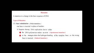 21 Genetics Part 3 Types of Mutation [upl. by Wandy]