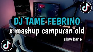 DJ TAME FEBRINO X MASHUP CAMPURAN OLD  VIRAL TIKTOK 2024 [upl. by Lati]