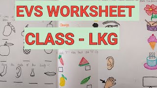 EVS Worksheet For Class LKG  EVS Worksheet  Class LKG Worksheet  Practice Worksheet [upl. by Ynahpets878]