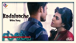 Gultoo  Kadalaache Video Song  Amit Anand  Naveen Shankar  Sonu Gowda  Janardhan Chikkanna [upl. by Atnim90]