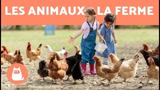 Les animaux de la ferme  leur cri leurs petits leur famille [upl. by Belak]