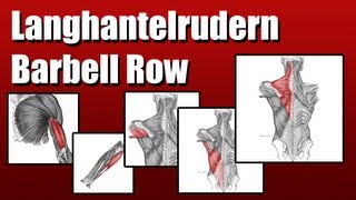 How 2 Langhantel Rudern Barbell Rows [upl. by Stephannie]