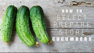 How to select store amp prepare Cucumber [upl. by Artinek808]