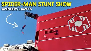 SpiderMan Stunt Show in Avengers Campus  Disney California Adventure [upl. by Swain]