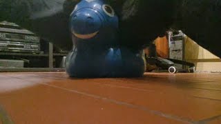 Rody inflatable horse bounce pop [upl. by Scribner]