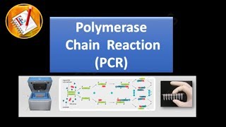 Basic Concepts 01  Polymerase Chain Reaction PCR [upl. by Mir]