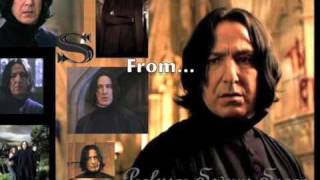 Ministry of MagicSnape vs Snape lyrics [upl. by Estey572]