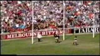 Essendon Vs Carlton Drawn game R2 1993 [upl. by Gran]