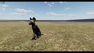 NEW Painted Dog Remodel and Animations  Wild Savanna Recode Progress [upl. by Marline]