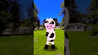 Polish cow full song foryou polish cow dance polishcow cowdance polishcowdance [upl. by Atinid381]