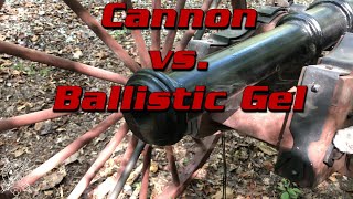 Cannon vs Ballistic Gel [upl. by Hanima]