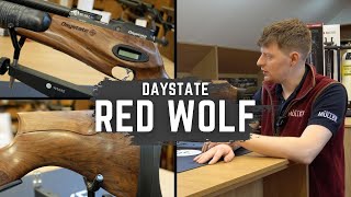 Daystate Red Wolf Air Rifle From Its Walnut Stock to Adjustable Settings amp Much More [upl. by Cai]