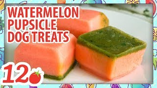 How to Make Watermelon Pupsicle Dog Treats [upl. by Marten]