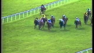 1989 General Accident 2000 Guineas Stakes [upl. by Clovah]