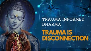 Trauma is Disconnection  Trauma Informed Dharma [upl. by Ahsienal]