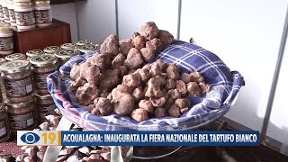 Acqualagna inaugurata la Fiera Nazionale del Tartufo Bianco [upl. by Stucker]