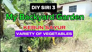 DIY S3 Taman di belakang rumah  my backyard garden  kebun sayur  menanam sayur keperluan harian [upl. by Havener331]