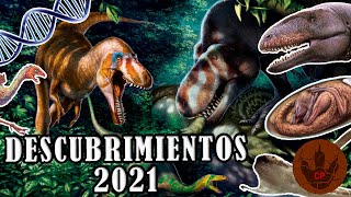 TOP 10 LOS MEJORES DESCUBRIMIENTOS DEL 2021 [upl. by Viv873]