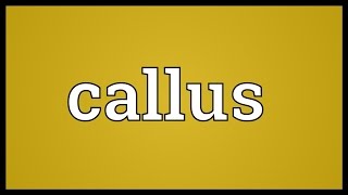 Callus Meaning [upl. by Hadias]