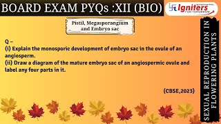 Explain the monosporic development of embryo sac in the ovule of an angiospermii Draw a diagram [upl. by Currier]