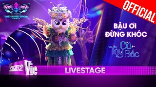 Bậu Ơi Đừng Khóc da diết từng câu với Cú Tây Bắc  The Masked Singer Vietnam 2023 LiveStage [upl. by Anoit]