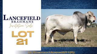 Lot 21 Lancefield S Brandon 65771 PS [upl. by Bernete]